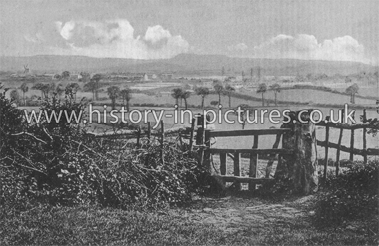 View from Galley Hill Fields, Waltham Abbey, Essex. c.1914